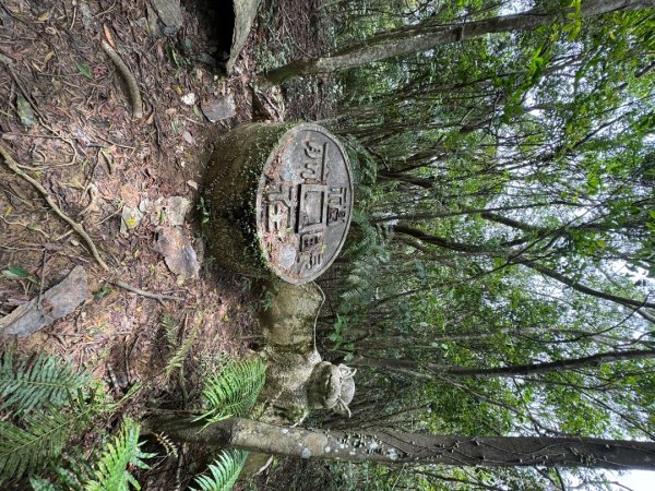 2025/04/13 小百岳第008「大崙頭山」2760260