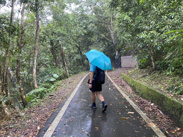 《探訪熊空秘境｜新北三峽雲森瀑布沁涼體驗》2878493