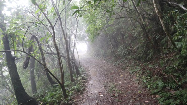 冷埤登山健行趣2447562