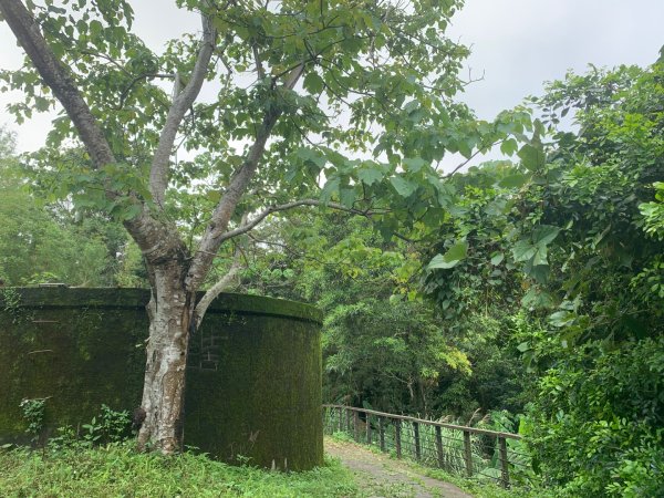 大崎棟古道、騎龍古道2772252