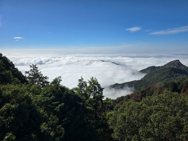 鳶嘴稍來山之楓紅／雲海2974058