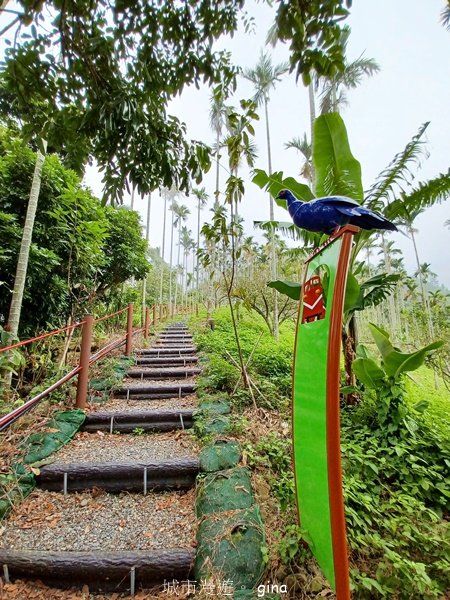 【嘉義竹崎】說好的稜線風景呢。阿拔泉山稜線步道連走獨立山O繞2684127