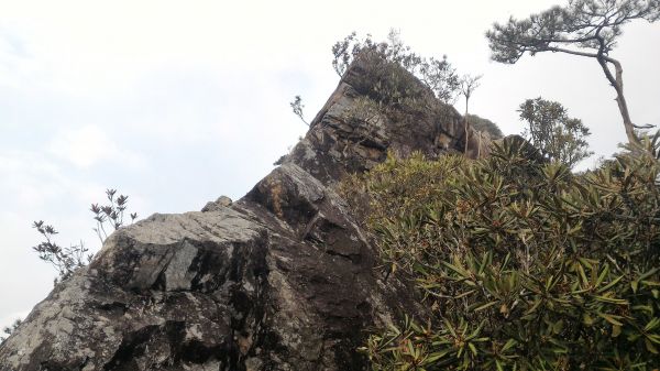 鳶嘴山、稍來山縱走107190
