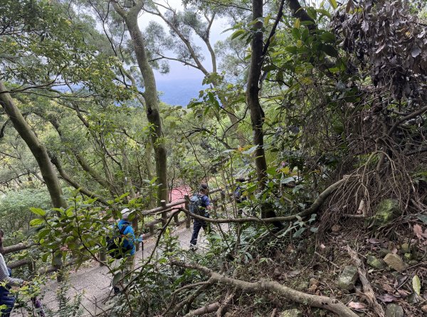 [微笑山線_第四段] 2026_0321 天上山系_石門內尖山東峰3021324