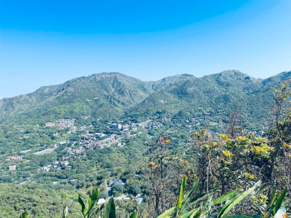 20250323 基隆山小百岳#62744242