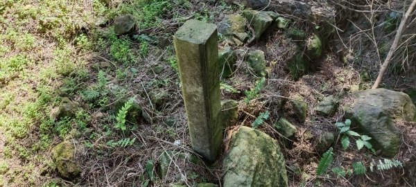 20220312_馬那邦山 細道邦山南峰 細道邦山1637075