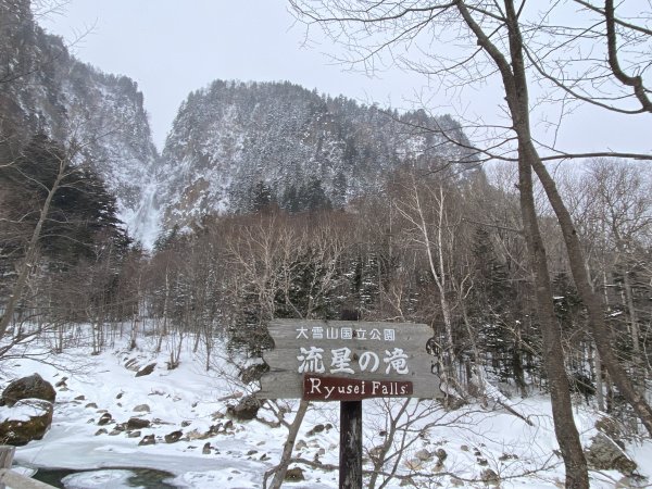 北海道------雪祭3001938