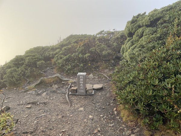 一日小O聖 2024 11/222865482