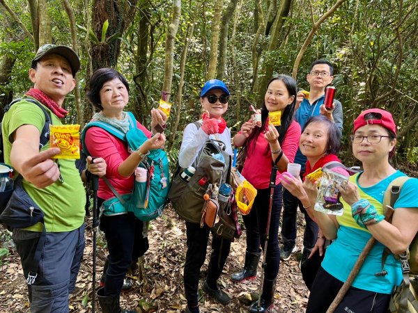 東勢大崙、東勢坑山、觀音湖山O走2986391