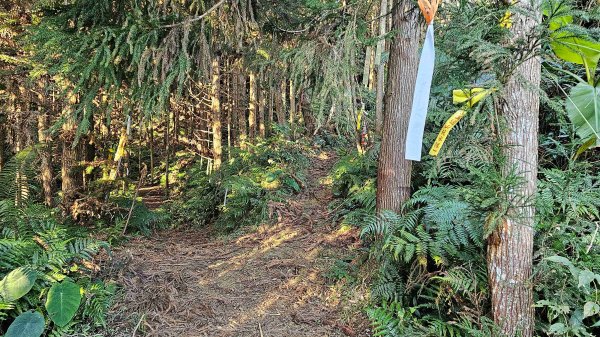 鵝公髻山 鵝公髻山東北峰 第一登山口上下入門路線2395275