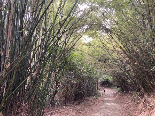 2022.09.10【臺北大縱走第五段】大湖公園-劍潭（鯉魚山、碧山巖、忠勇山、文間山、劍潭山）1839976