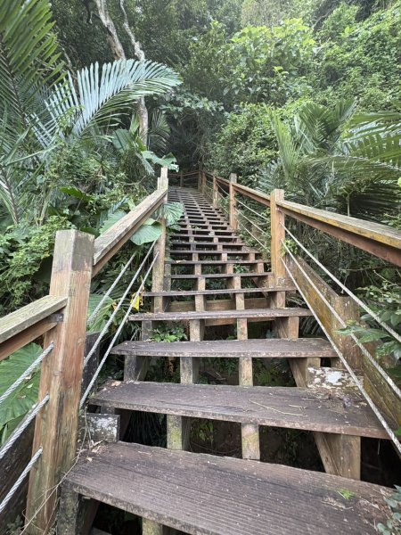 20251025南化龍湖寺至紫竹寺O繞(石松子山.大竹崙山.竹子尖山)2925086
