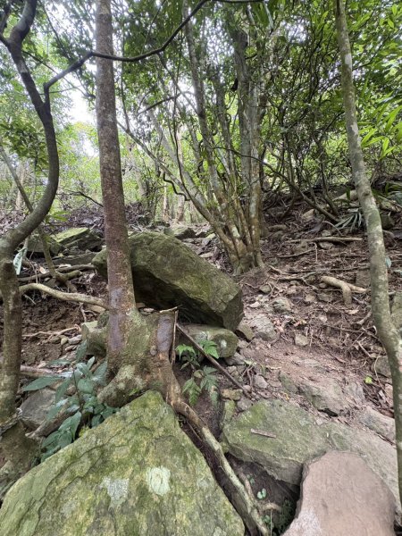 20251108白雲山步道2935190