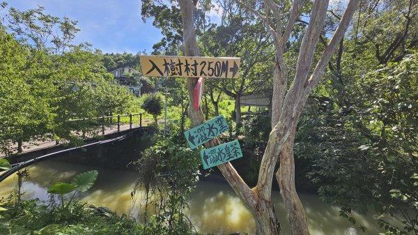 澀水森林步道2538080