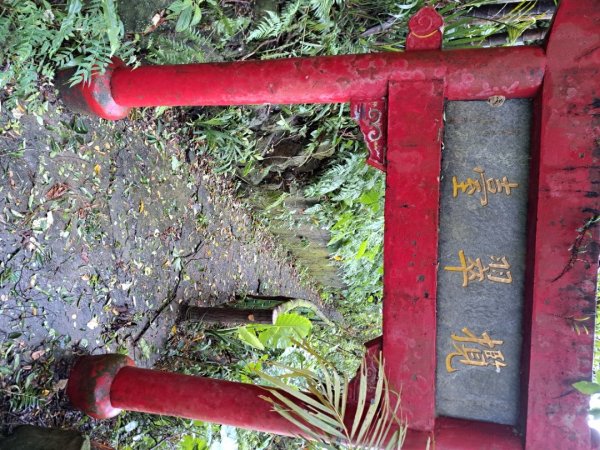 小百岳集起來劍潭親山步道3103133