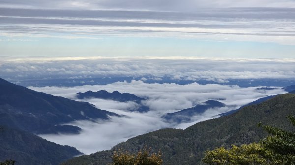 美到爆，觀霧國家森林遊樂區檜山巨木群步道2677767