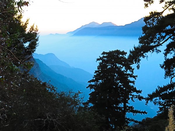 玉山群峰的前哨站-玉山前峰2065016