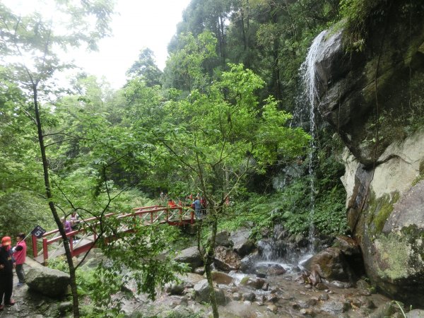 馬武督森林566526