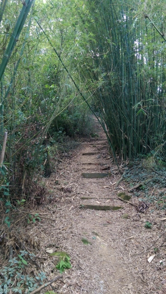 出關古道聖關段登關刀山24517