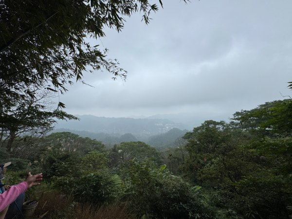 紫微聖母環山步道走六寮崙山與西南峰2989131