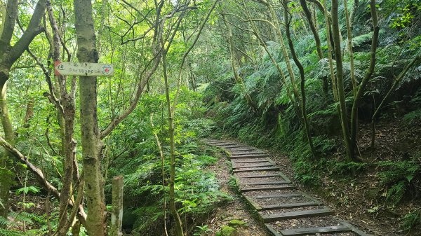 2023-0923翠山步道_金面山_碧湖公園2292062