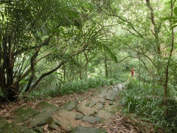 富陽生態公園．福州山106637