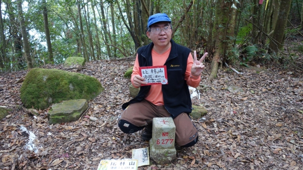 【新竹/五峰】戀戀柳杉林，比大鳥連稜縱走26373