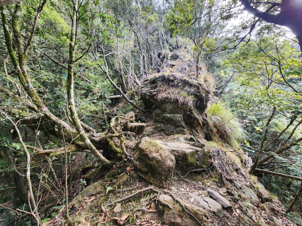 20260118騰龍山加里山O型2997518