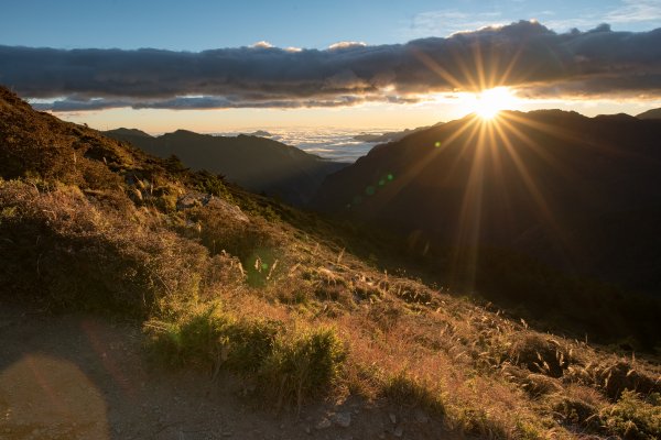 合歡北峰-圓柏的視野466845