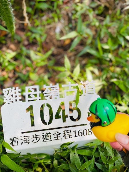 淡蘭古道北中南路全段共15段2567962