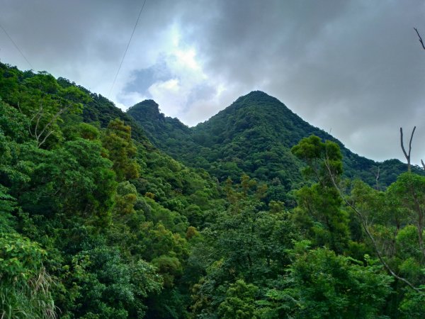 東眼山及親子峰步道592085