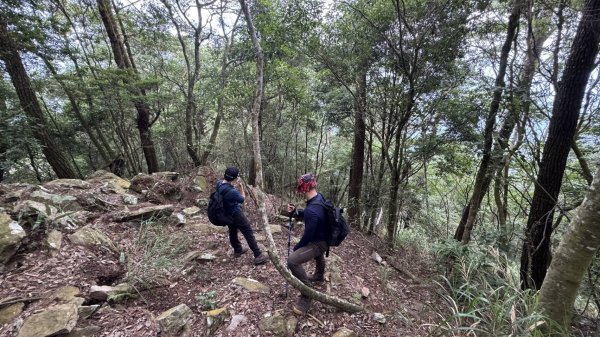 7成5山域事故救援來自中級山！ 中市消防局宣導「登山安全3原則」
