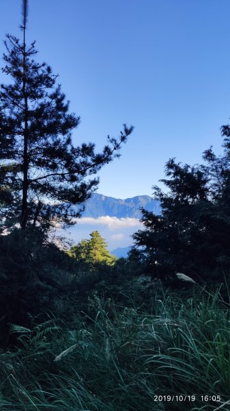 大雪山神木&天池715482