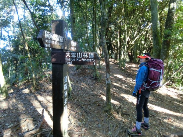 喜愛曬太陽又流汗又刺激又美麗446167