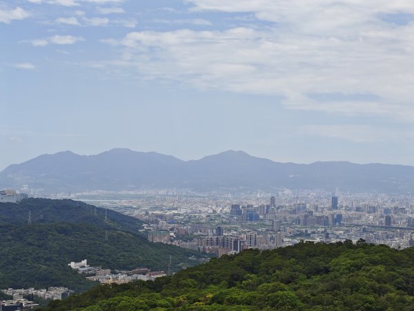 [微笑山線_第一段] 2026_0725 大棟山系_大同山3101743