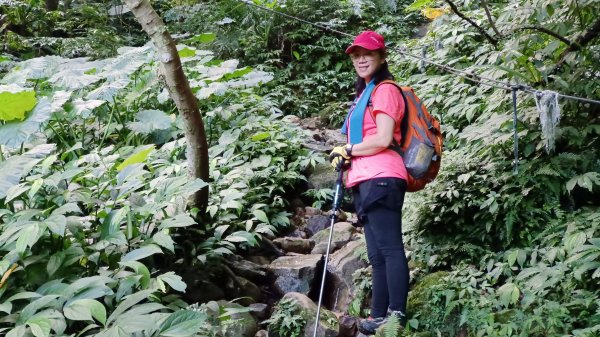 (姨婆趴趴走)第十四集:新竹關西油井窩山、彩和山、高甫山縱走2206438