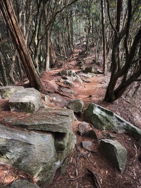 鳶嘴山上的瘦稜2983874