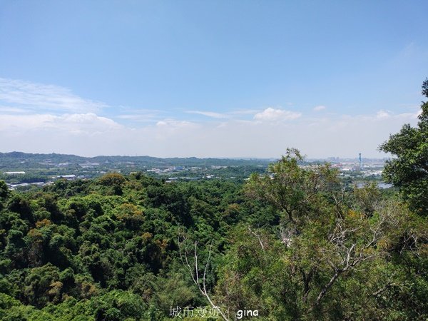 【高雄大社/岡山】郊山連峰稍有挑戰。 大社觀音山步道(立山x高崎山x長野山)2559917