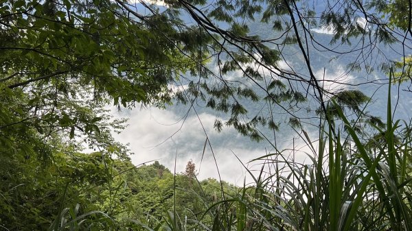 大板根+北坑山+東洗水山2551688