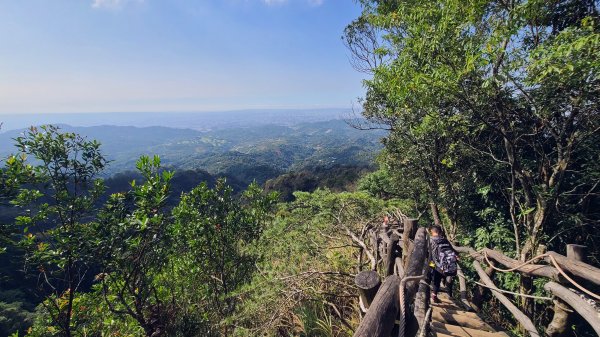 頭嵙山封面