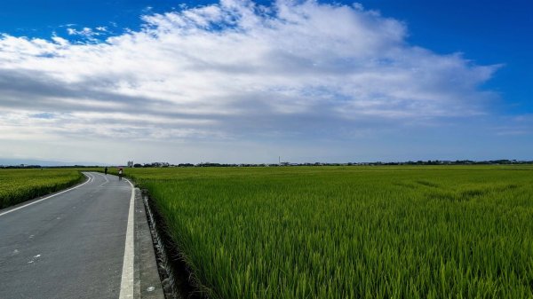 三奇美徑,52甲濕地,傳藝中心2518182