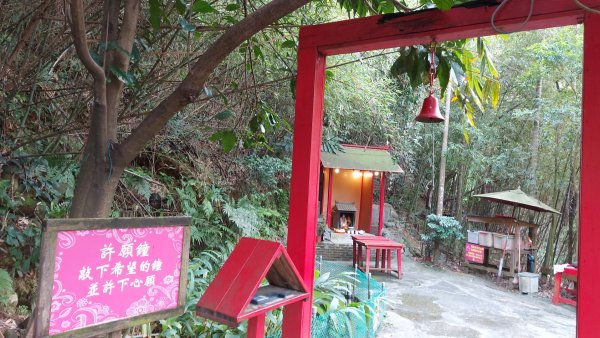 小百岳NO.5觀音山 牛港稜步道  硬漢嶺   楓櫃斗湖登山步道2090141