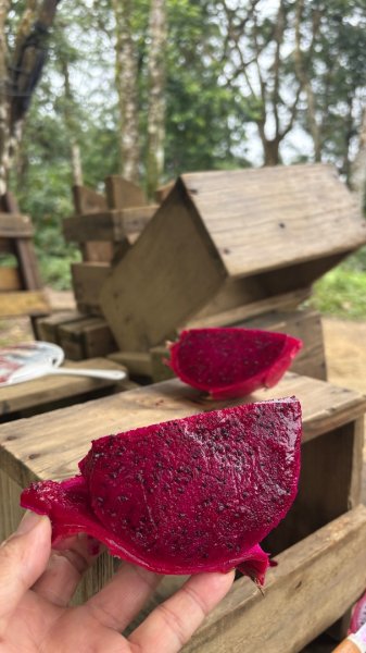 太、清、石2994650