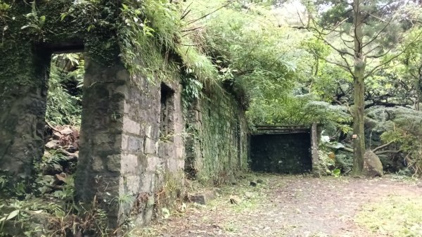 三芝區龜子山橋-三板橋-大屯溪古道(殘念)去回3090822