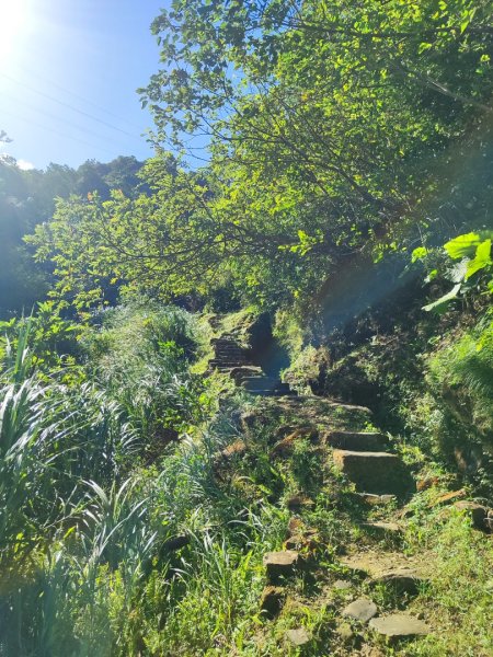 微笑山線筆架二格山系2860399