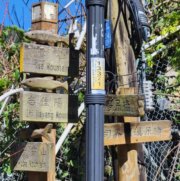 【中級山】馬武霸山，實至名歸的百岳觀景台2937761