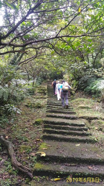 古道行~淡蘭古道->金字碑古道611881