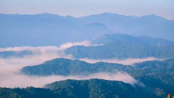 雲山水花鳥蝶-天龍國阿伯的日常 #艷紅鹿子百合 #大鳳蝶 #玉帶鳳蝶2863905