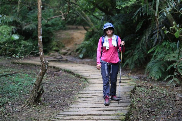 柴寮古道、三貂嶺瀑布群1003871