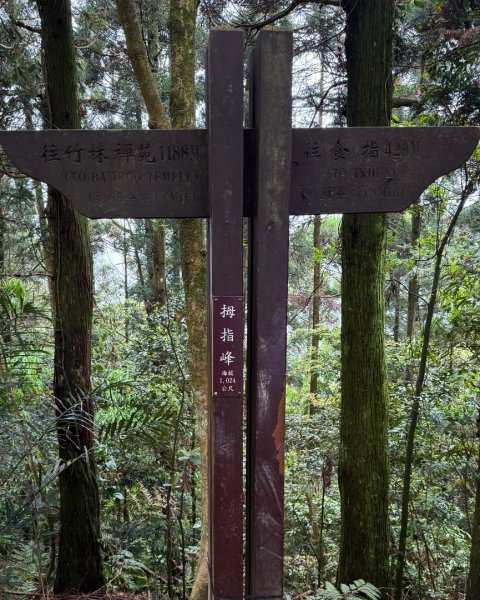 新竹五指山 - 指峰凌霄2768541